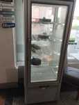 Vitrine vertical congeladora