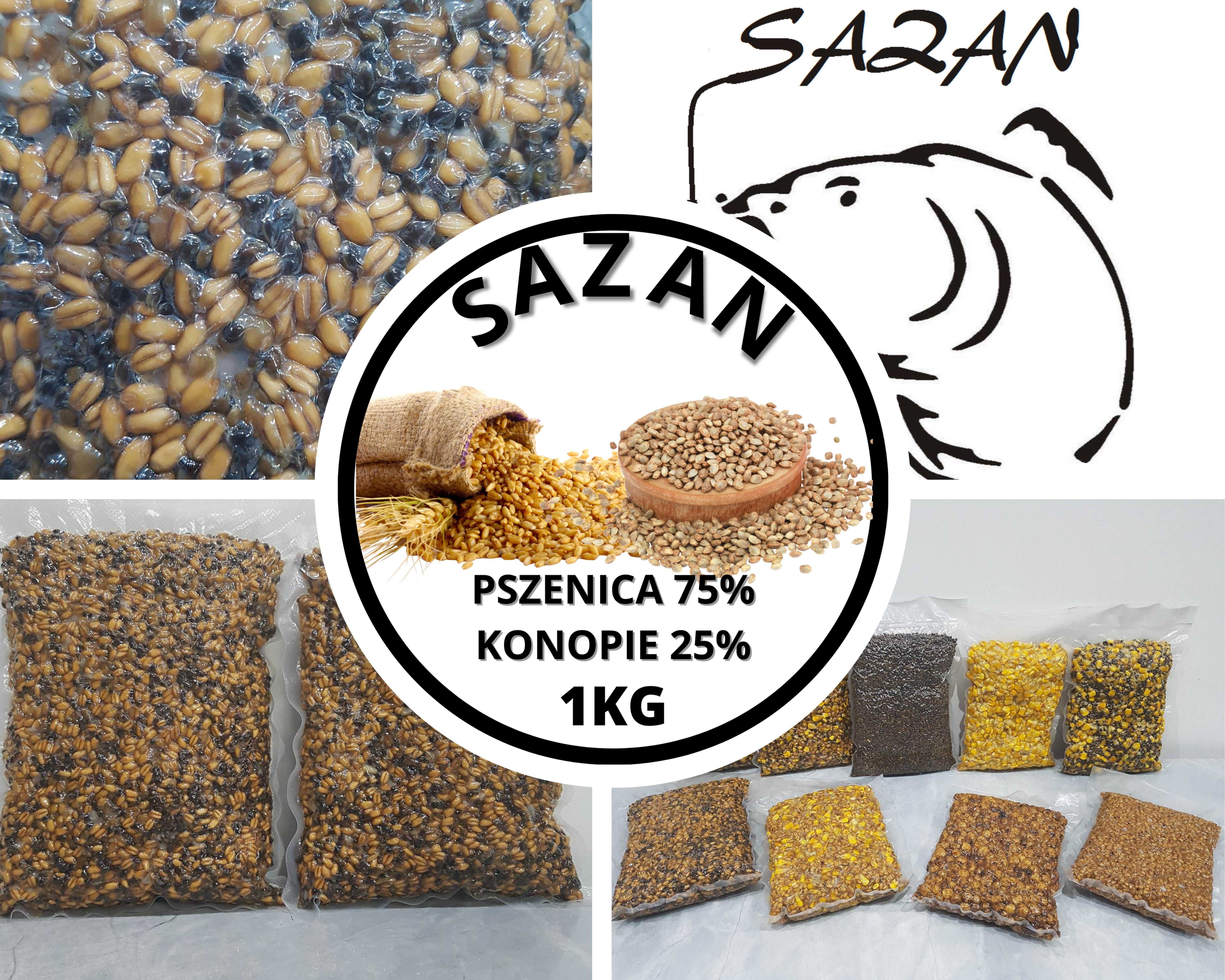 10kg Pszenica z konopią ZANĘTA Sazan Baits