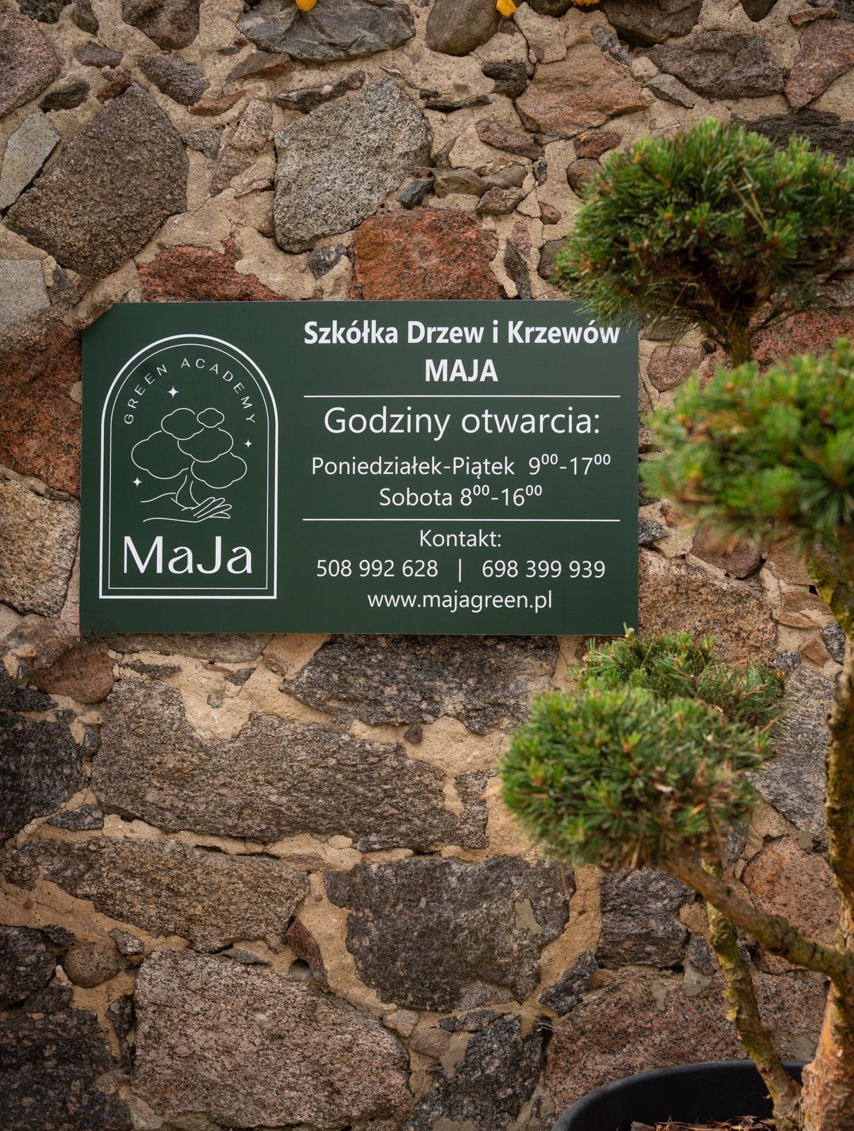 Drzewa, Krzewy, Kwiaty, Bonsai