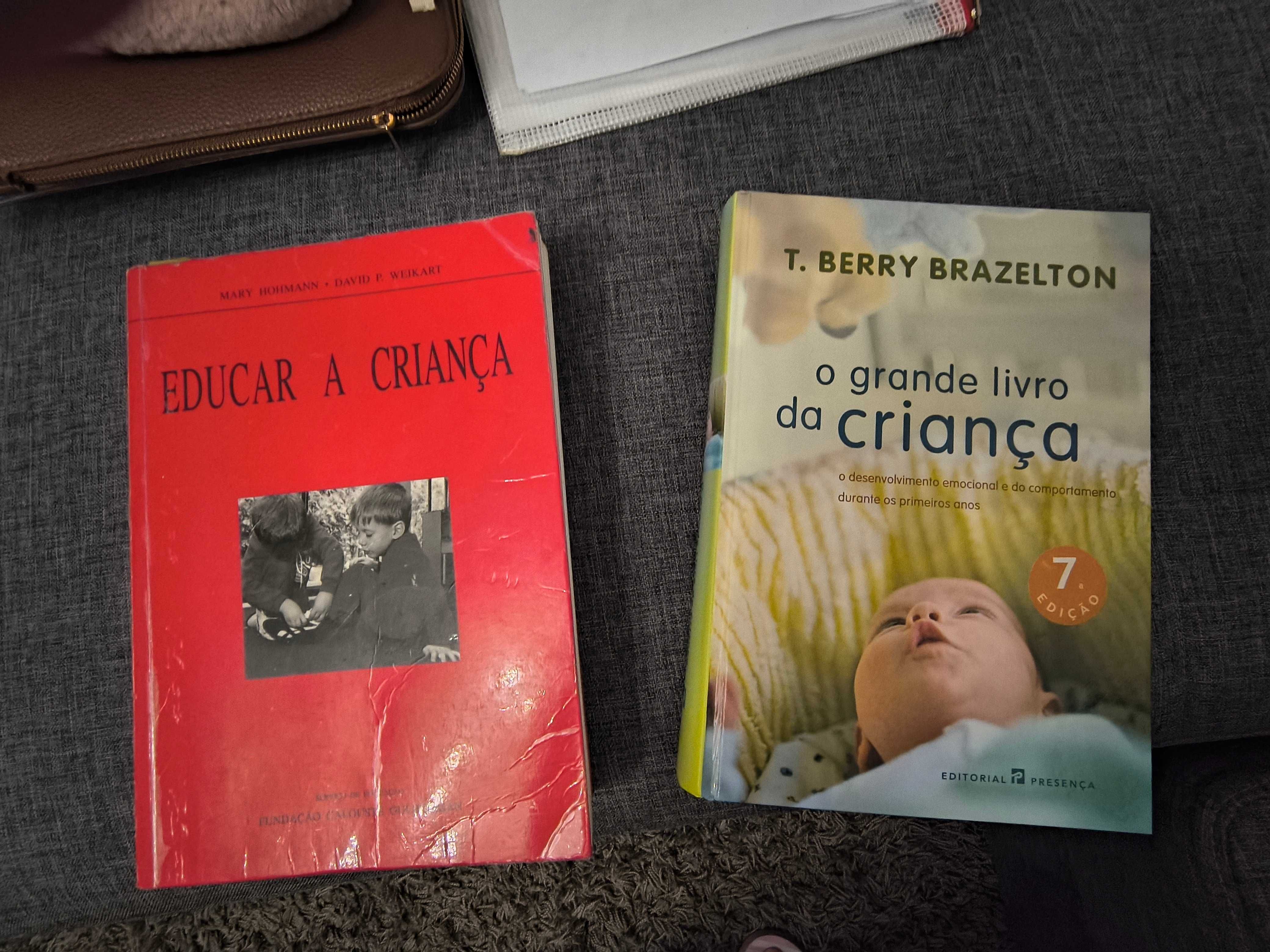 Livros únicos para  educação  de infância