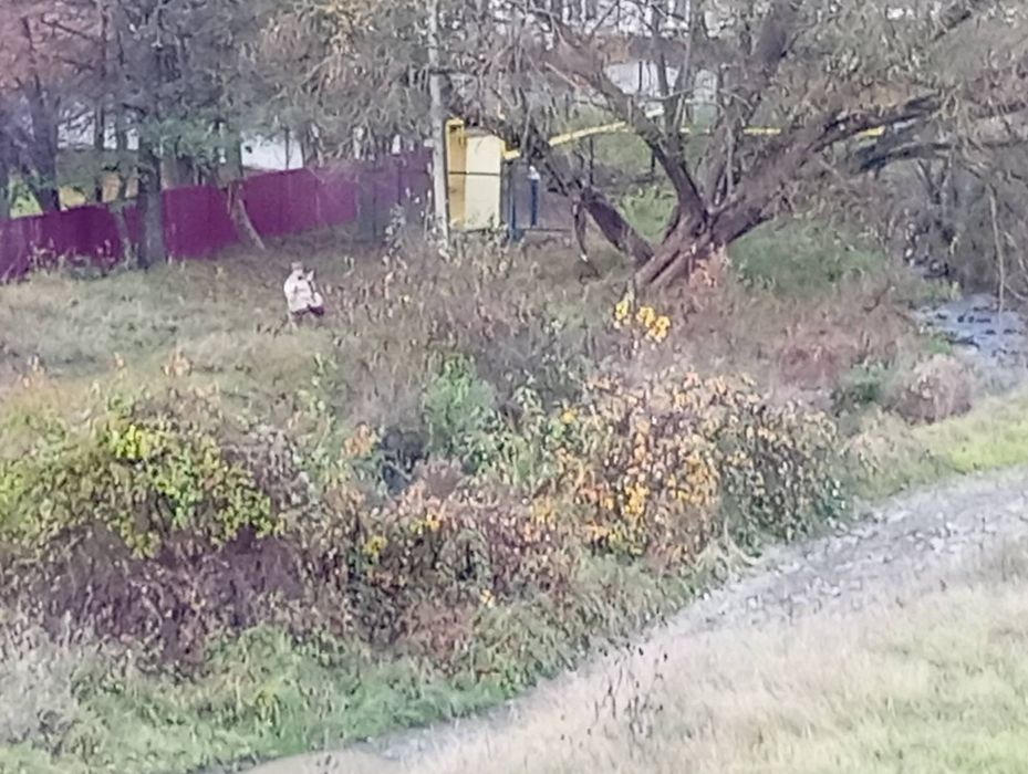 Продаю земельну ділянку у селі Сусково Закарпатської області