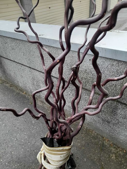 Varas de madeira decorativas