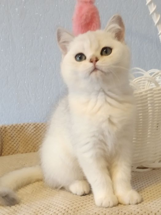 Красивіше не буває