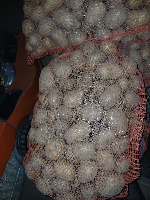 Kukurydza, zboże, ziemniaki