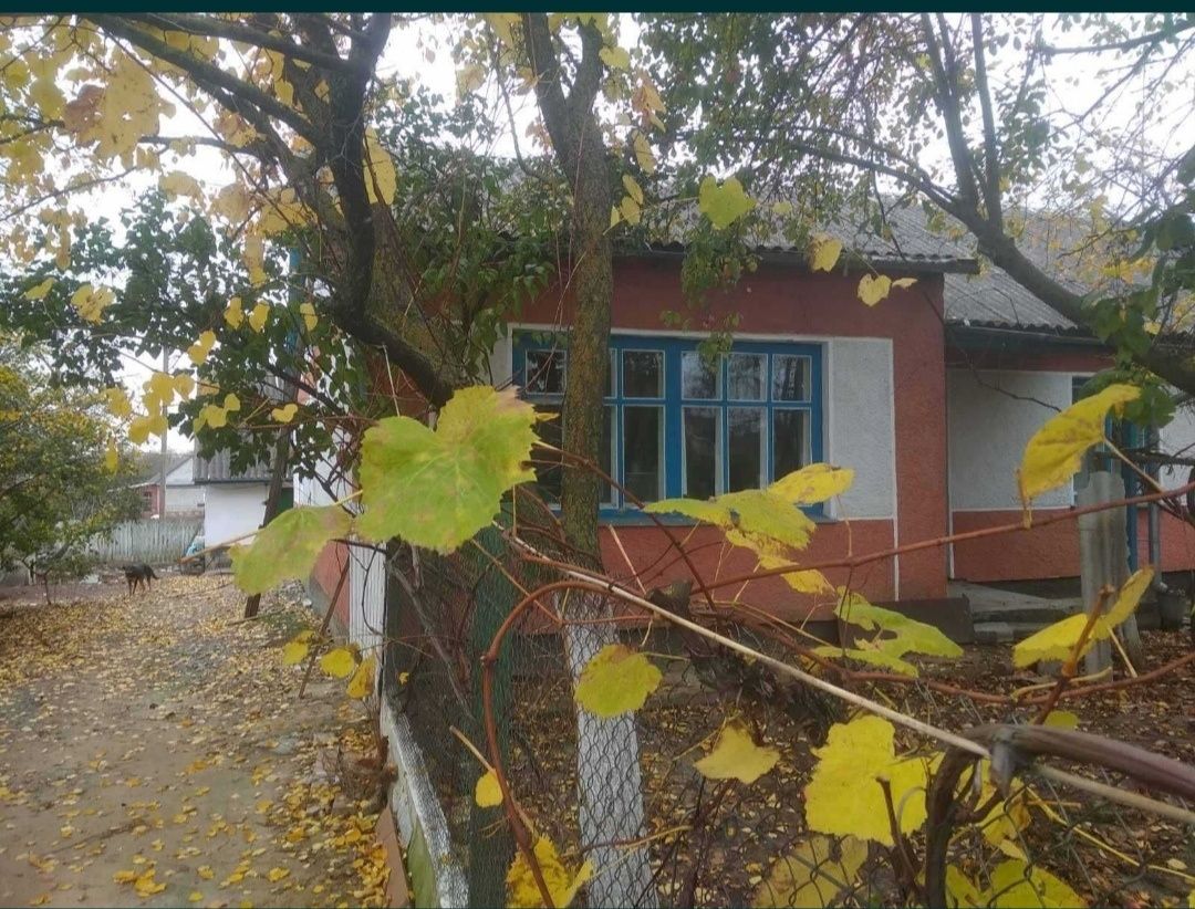 Продаж будиноку в Любарі.
