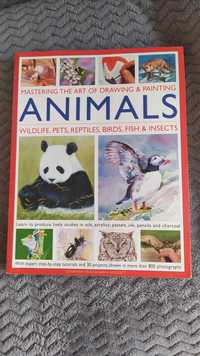 Książka Animals Truss Hogget malowanie rysowanie zwierząt