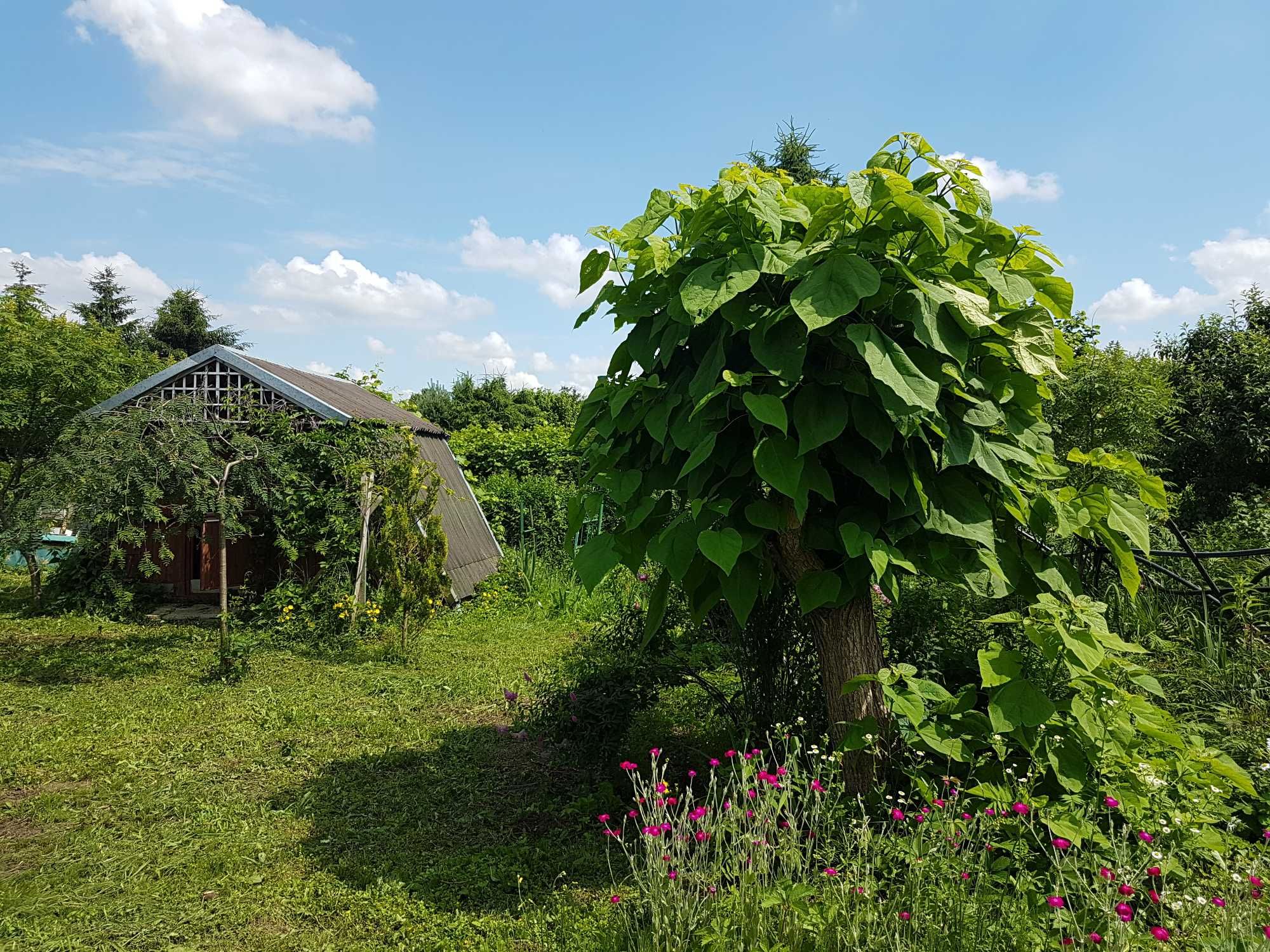 ROD Zalesie Rzeszów 2 działki (łącznie 7,5 ar) z dwoma domkami