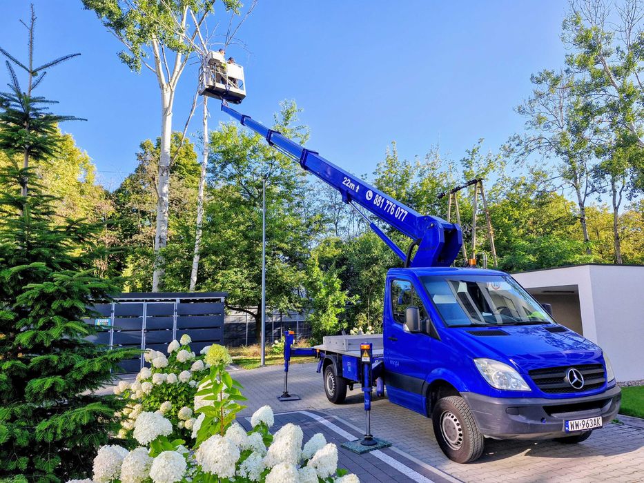 Wycinanie drzew trudnych Zegrze i okolice, czyszczenie działek,mulczer