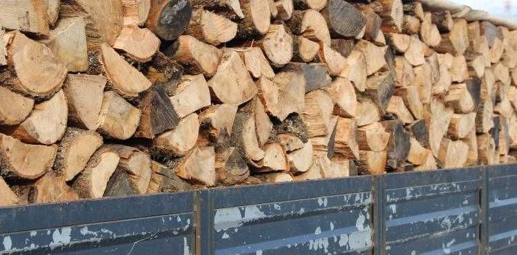 lenha mista de eucalipto e outras variedades