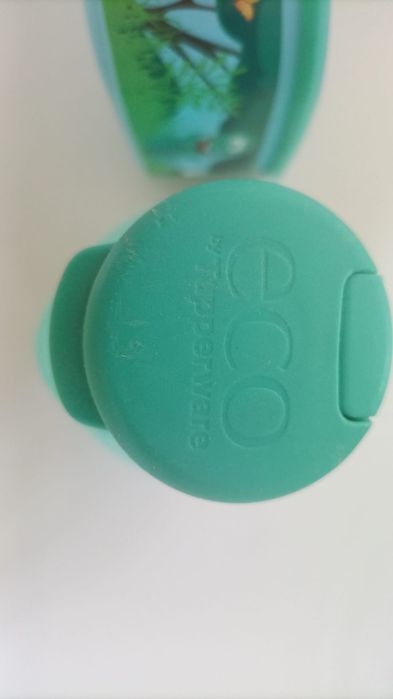 Conjunto Tupperware Infantil – Garrafa + Caixa Dinossauros