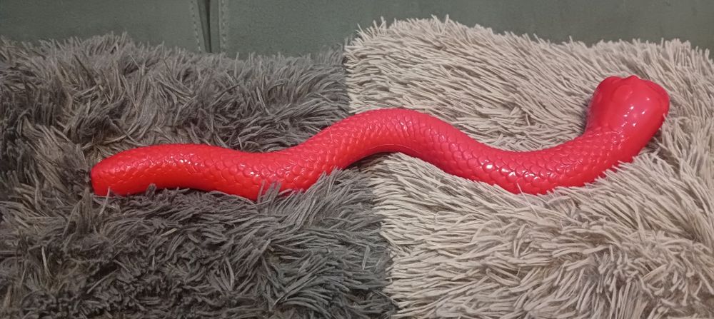 Wąż zabawka dla psa