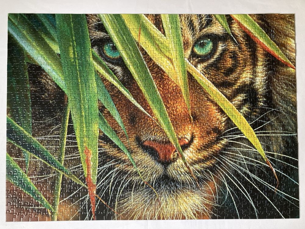 Puzzle Ravensburger 1000 • TAJEMNICZY TYGRYS