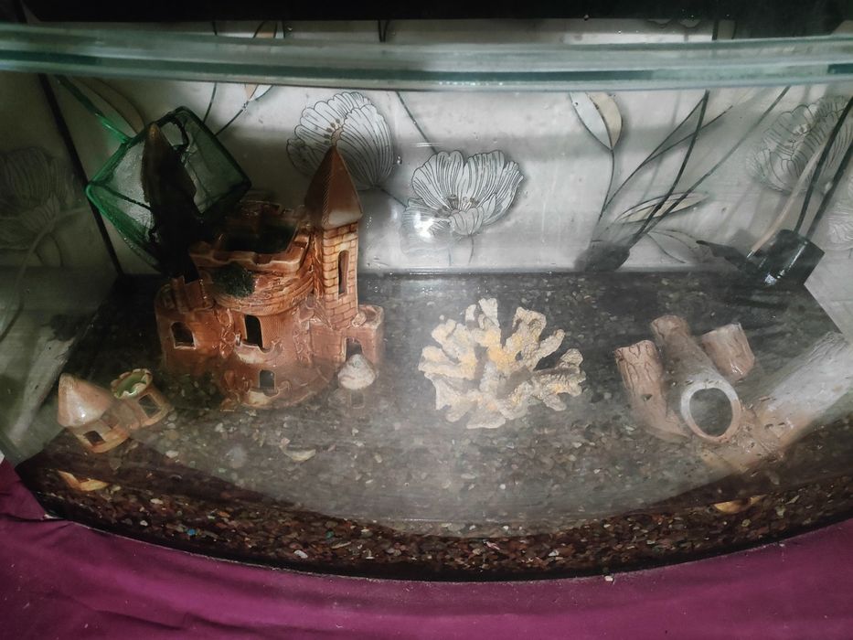 Аквіраум на 200літрів