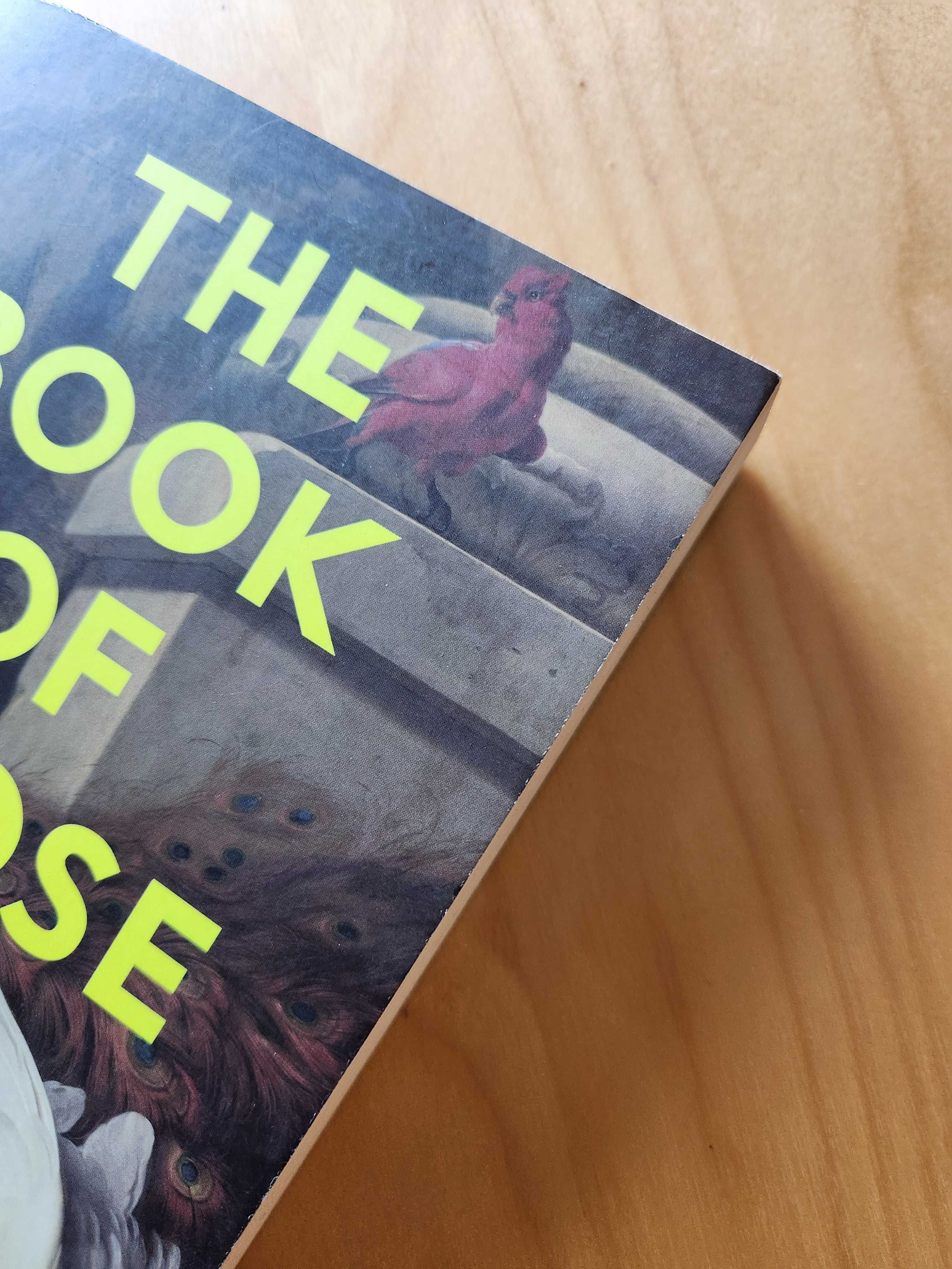 The Book Of Goose de Yiyun Li