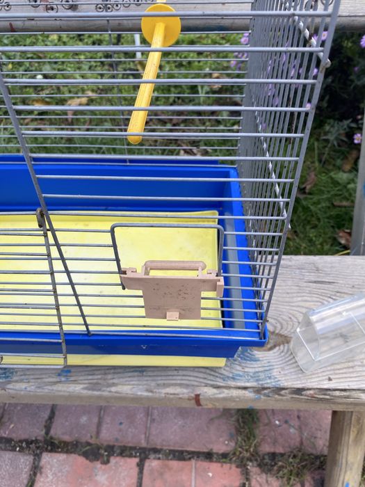 Клітка для птахів