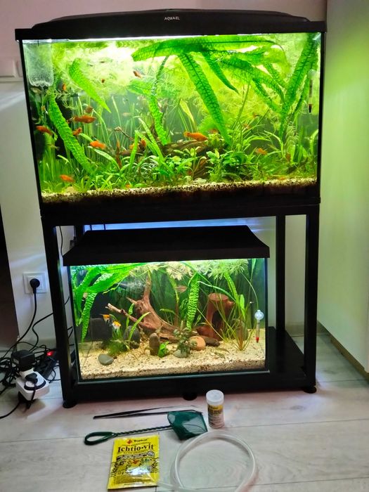 Rezerwacja Akwarium Aquel 72l z życiem, kompletne tak jak na zdjęciach