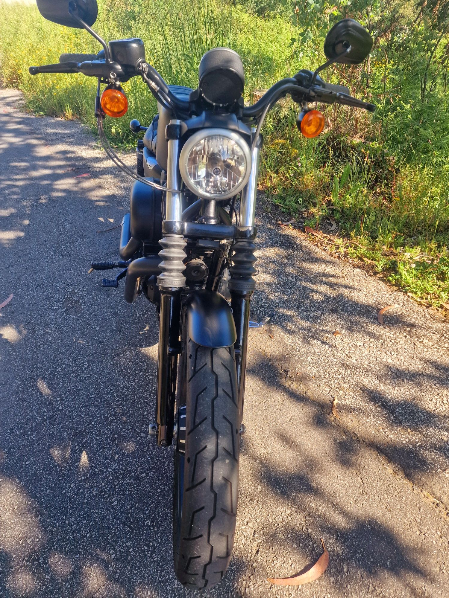 Harley Davidson 
XL 883N Iron (Sporster)