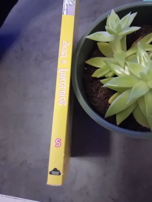 Livro :zona de unicórnios