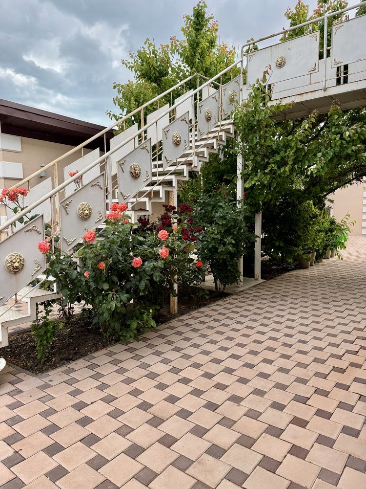 Benelux Family Apartments — Відпочинок біля моря з басейном (Санжейка)