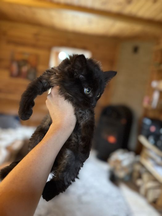 Хлопчик, 2 місяця