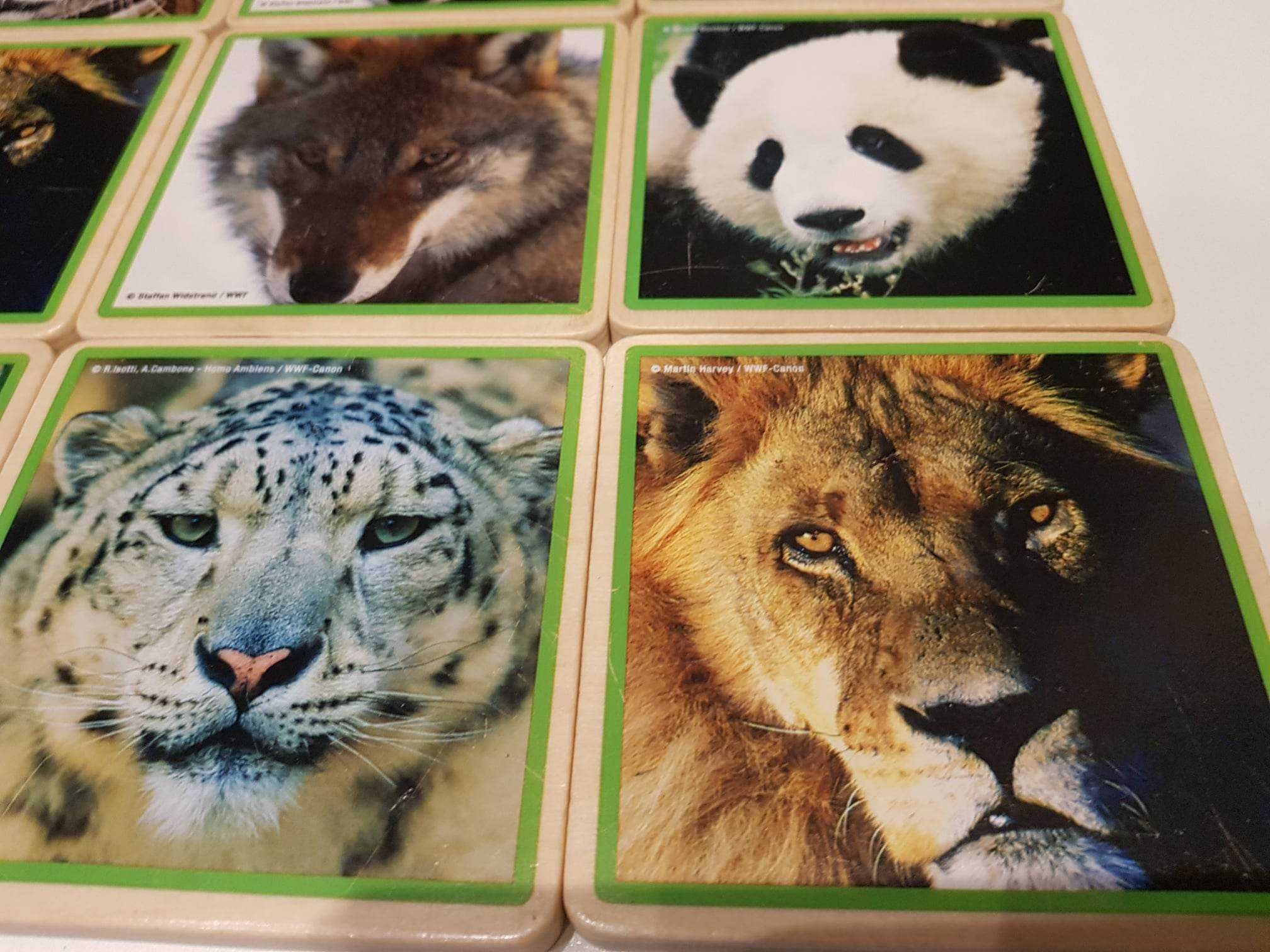 drewniane memory zwierzęta WWF Mammals Memory Game