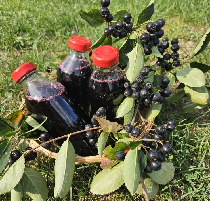 Sok malina / aronia - domowej roboty 330m