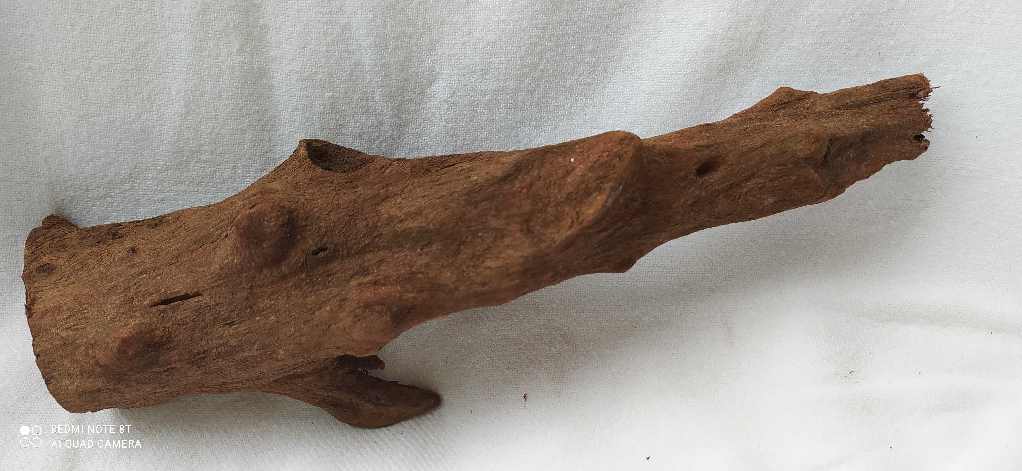 Korzeń do akwarium-24 cm