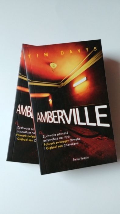 NOWA książka Amberville Tim Davys i wiele innych książek