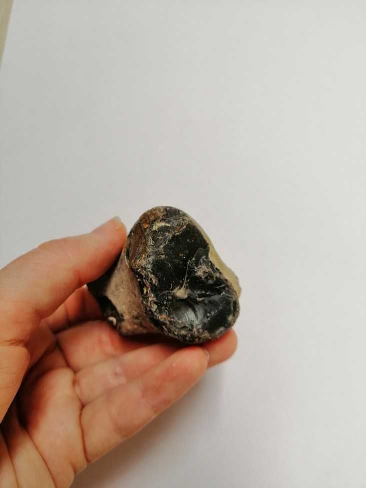 Skamielina, skamieniałość. Rozmiar 7x4,5 cm, waga 120g.