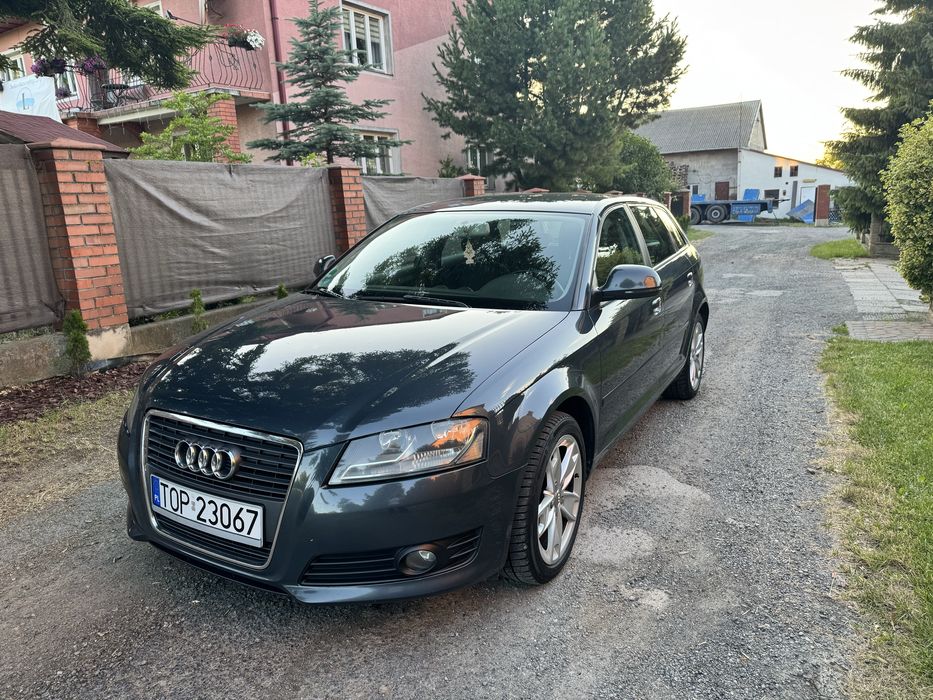 audi a3 8p 1.9 TDI lift