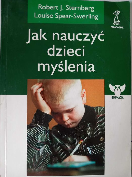 R. Sternberg i in. Jak nauczyć dzieci myślenia