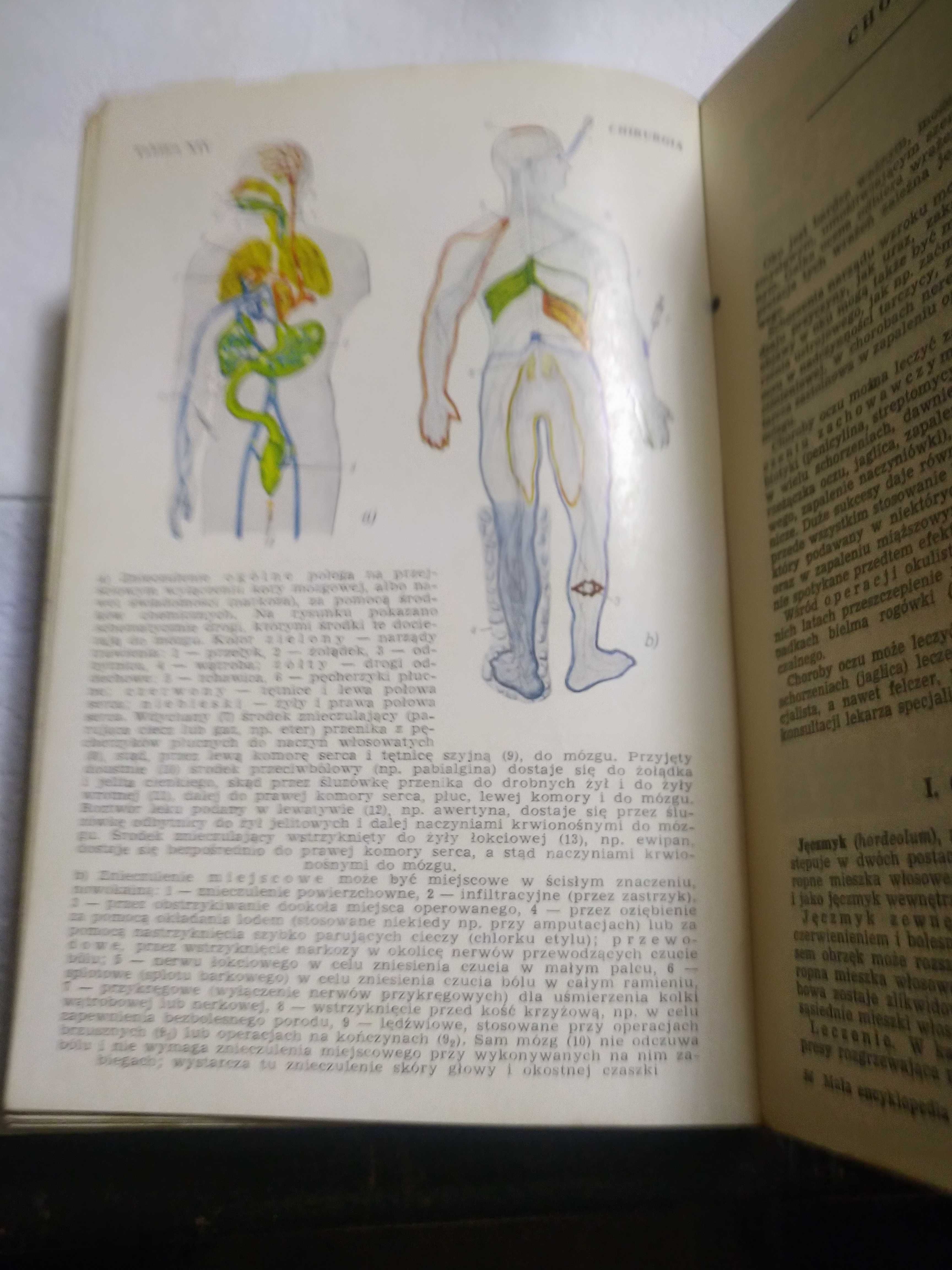 Mała encyklopedia zdrowia PWN