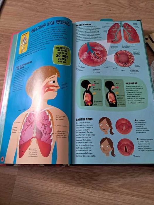 Livro corpo humano Guia Interativo + Esqueleto para montar