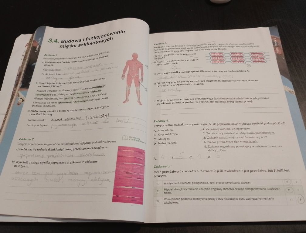 Biologia na czasie 2