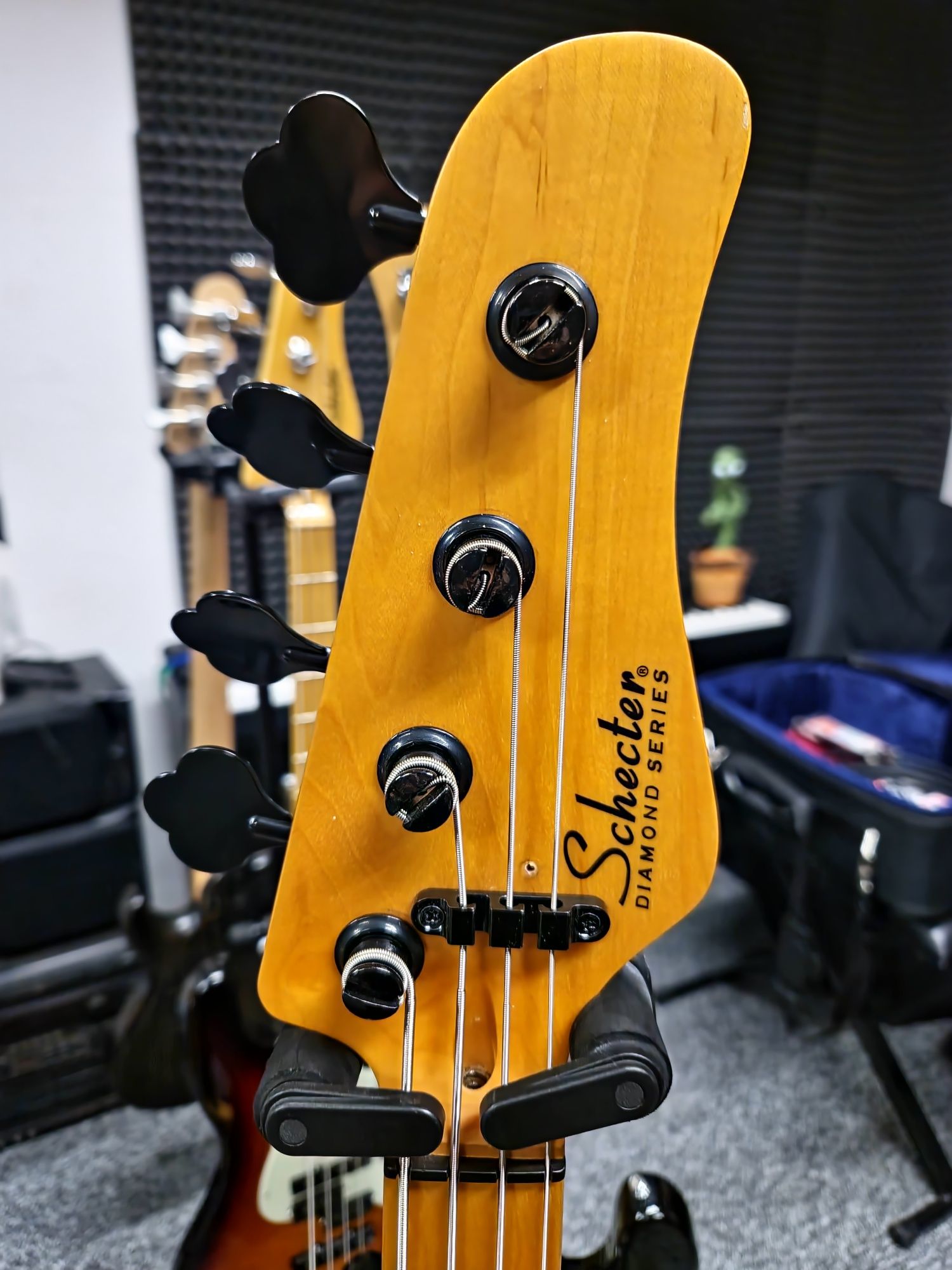 Schecter Precision Tele PJ Bass