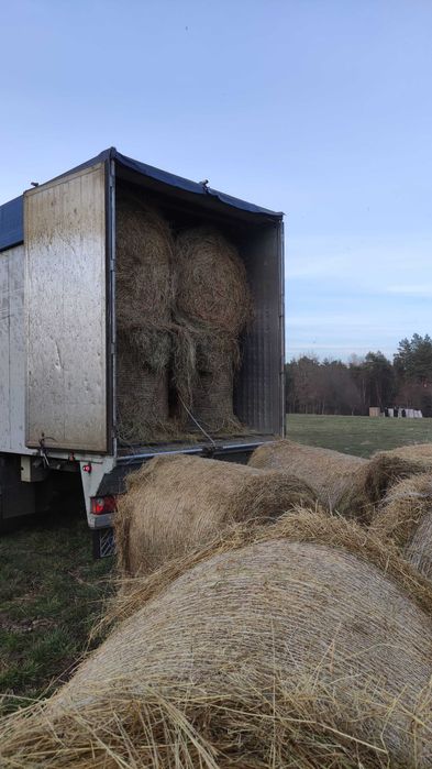 Transport ruchoma podłoga, zrębki, trociny, słoma, siano! Niskie ceny!