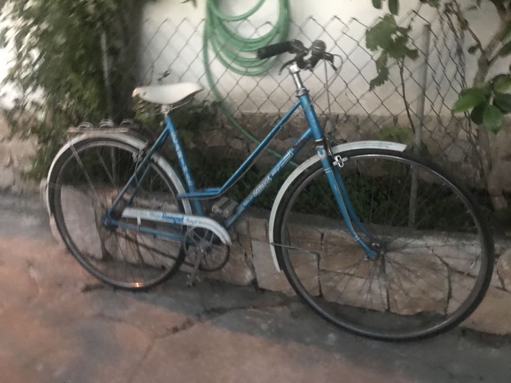 Bicicleta Pasteleira Coleção Sangal Carina