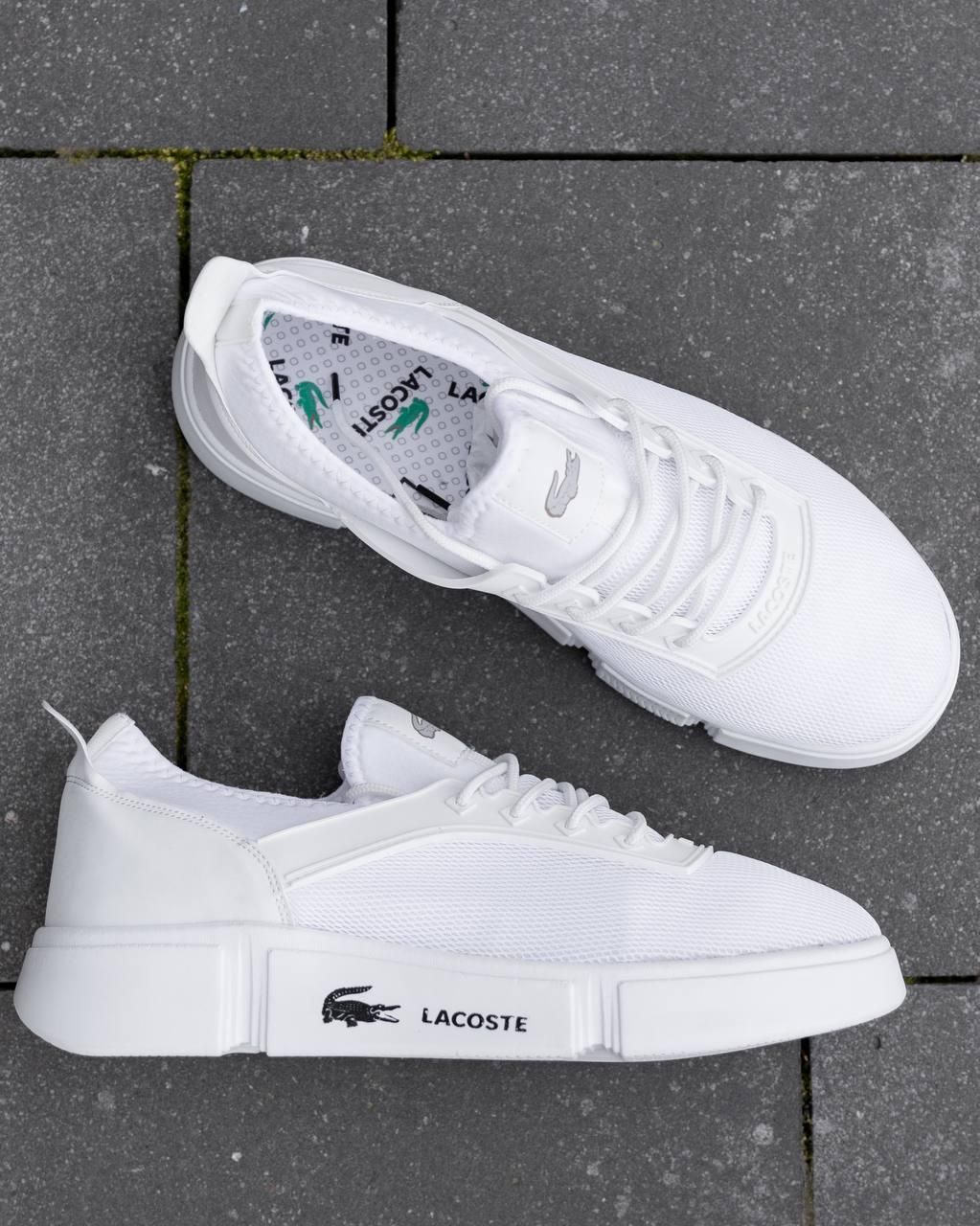 Кросівки чоловічі Lacoste ТОП