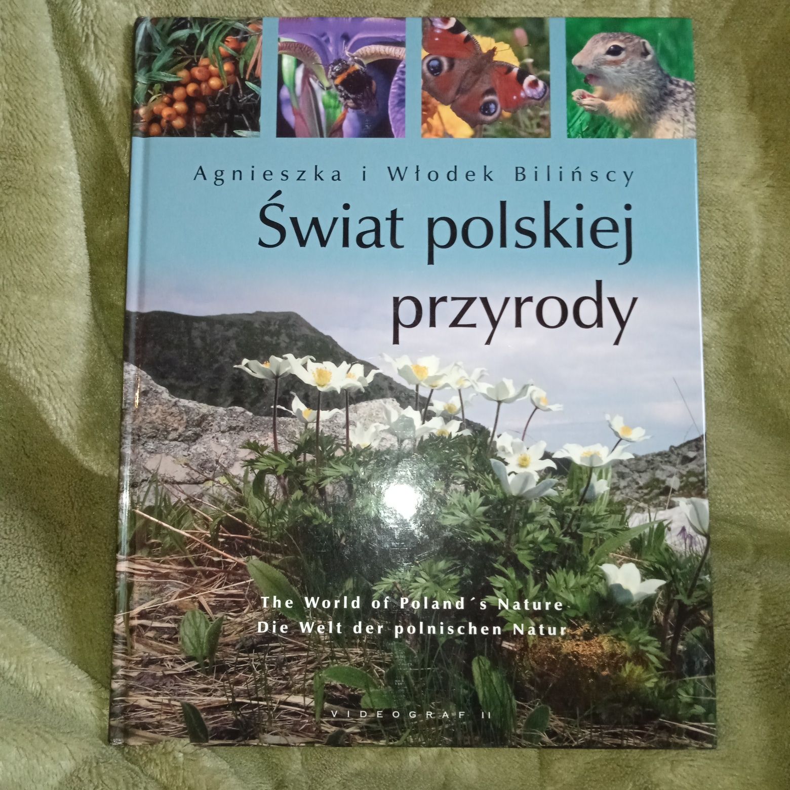 Świat polskiej przyrody. Ilustrowany leksykon. Stan bdb.