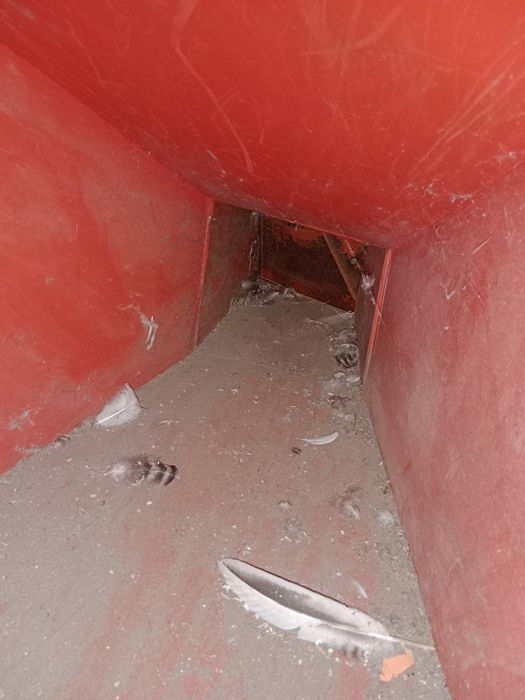 Rębak tarczowy.          .