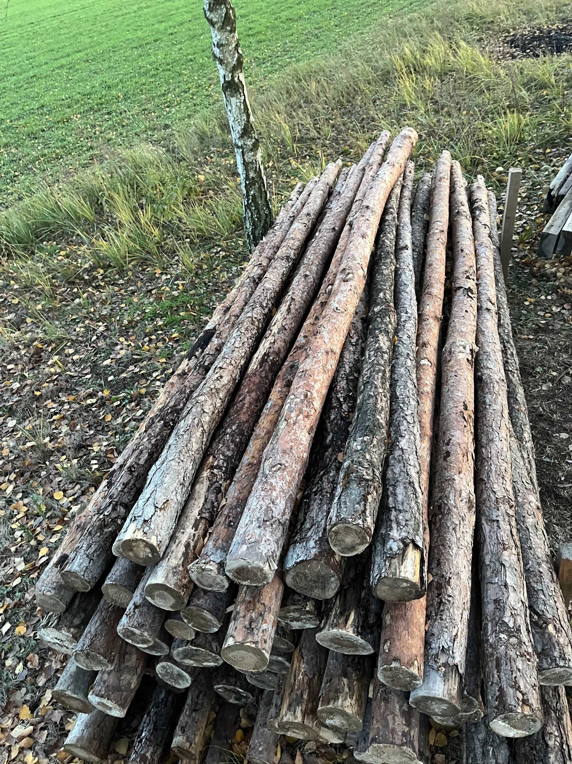Stemple 71 sztuk 2,9m