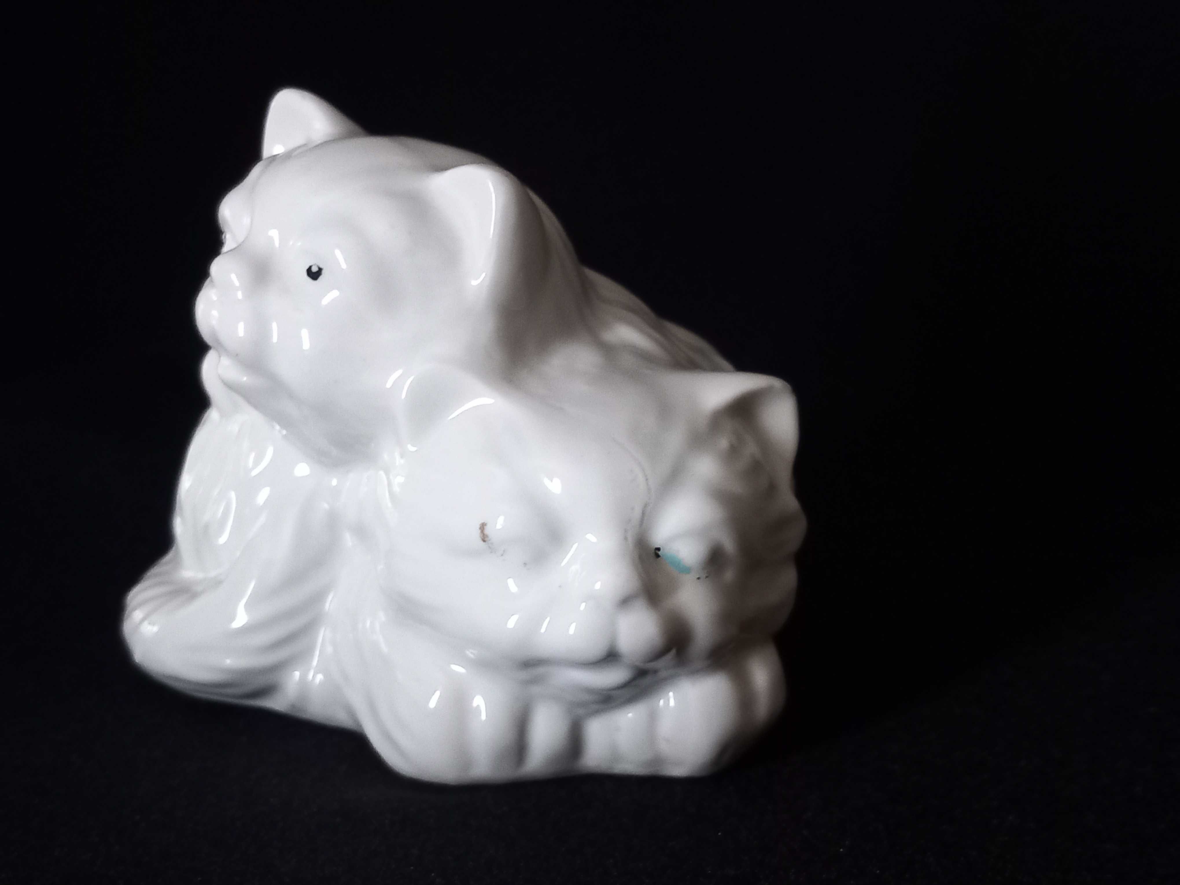 Gatos em porcelana