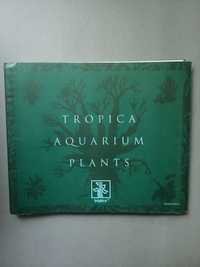 Akwarystyka rośliny Tropica Aquarium Plants Windelov Holger  leksykon