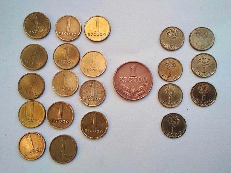 Moedas de escudos