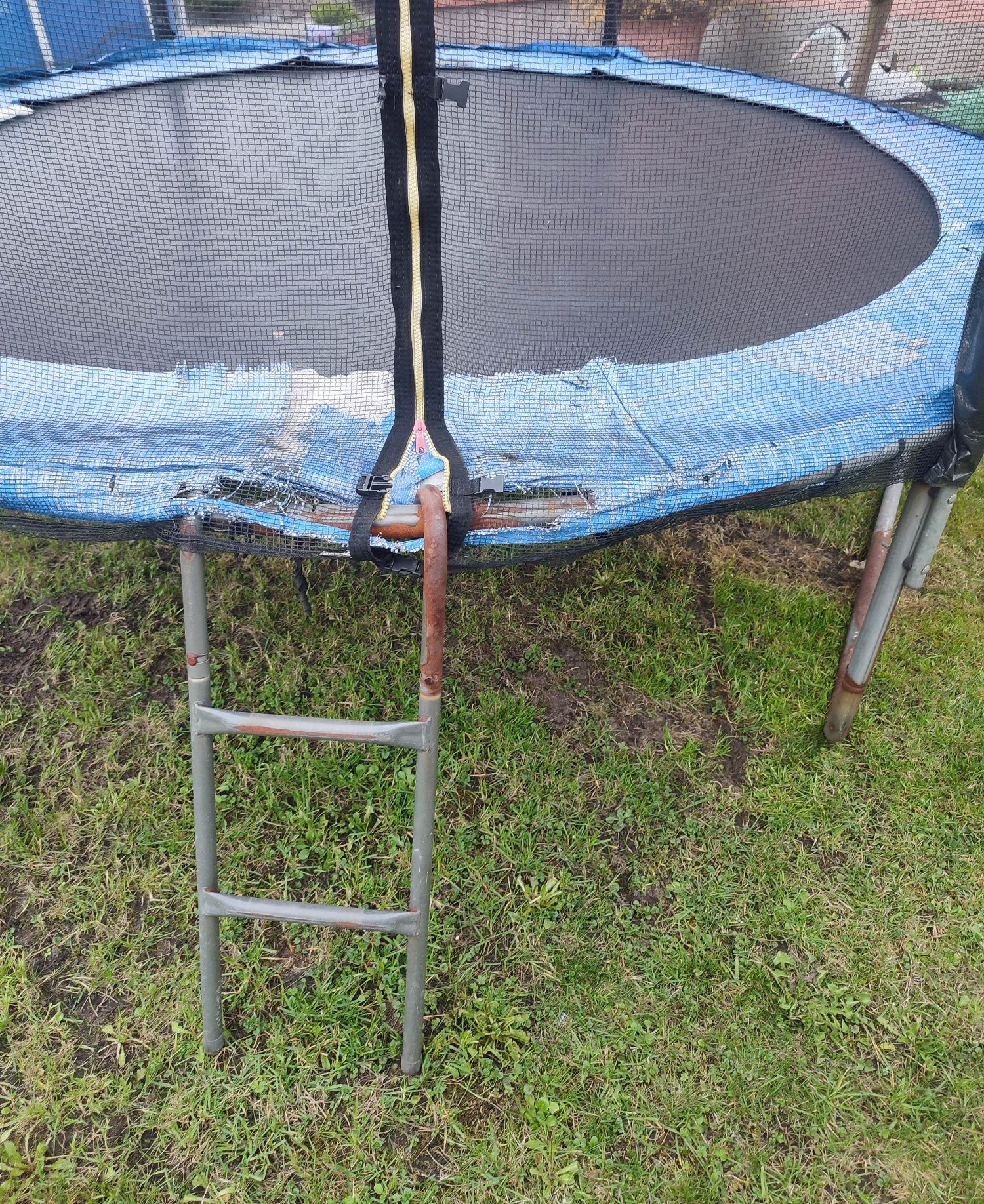 Trampolina 305 cm