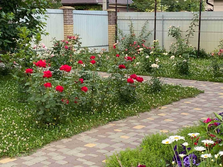 Без комісії! Продаж будинку, с. Мархалівка, м.Теремки, сучасний котедж