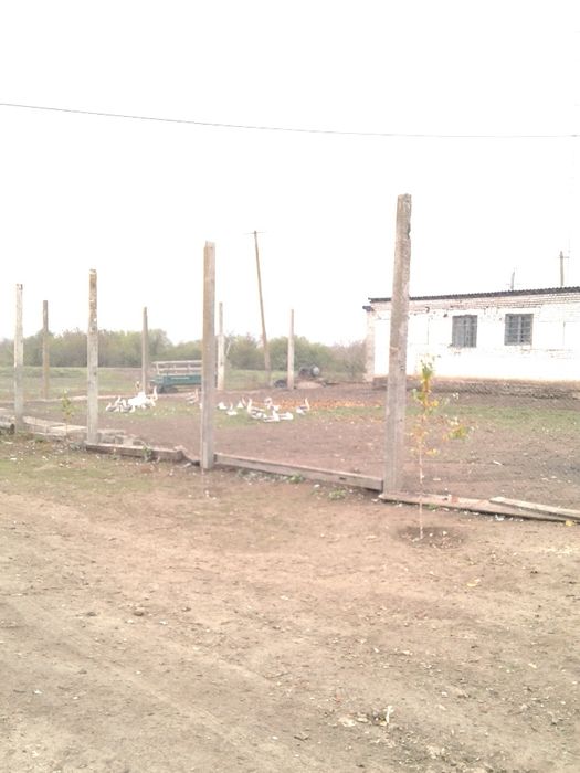 Продам отдельностоящую животноводческую ферму в Криворожском районе