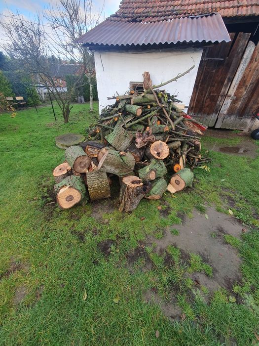 drzewo na opał orzech czeresnia
