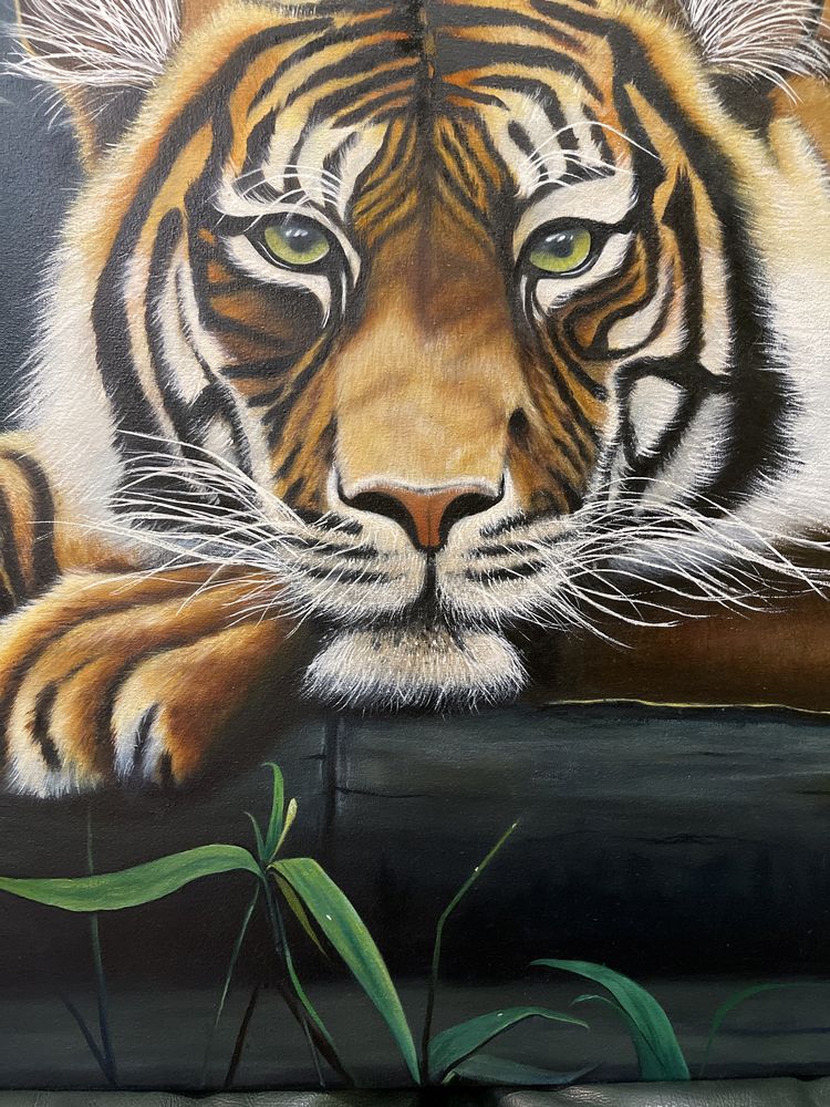 Картина « Тигр». Масло. Размер холста 100х60см.