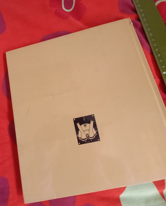 Livro com pinturas de Amadeo Souza Cardoso